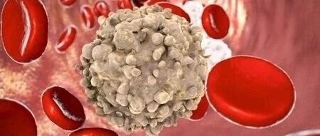 辉瑞22.6亿美元布局，“别吃我”信号通路为何受到多家大药企青睐？