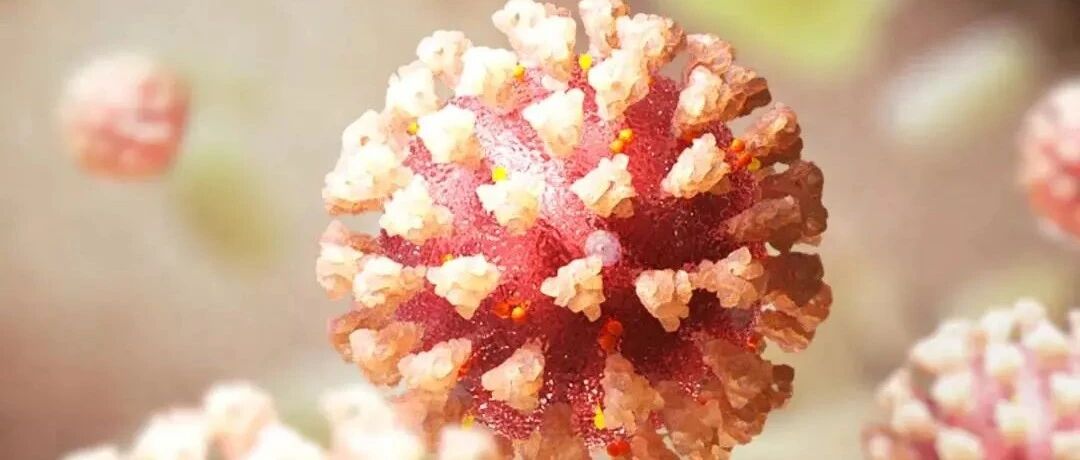 阿斯利康腺病毒载体新冠疫苗获英国紧急使用授权，调整接种方案有望提高保护效力