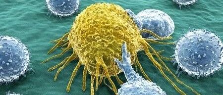 让晚期肺癌患者的肿瘤完全消失，这种细胞疗法有何神奇之处？