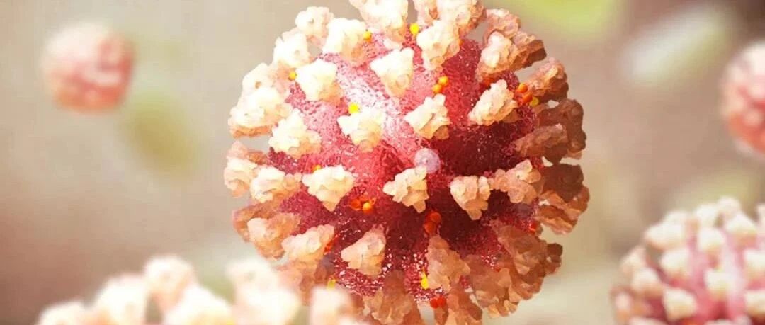 JAMA子刊：新冠病毒感染产生的免疫力可持续至少1年