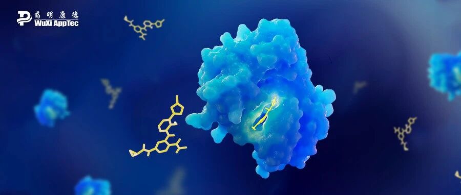 2024-09-05药事资讯