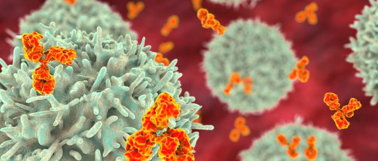 从沉寂到崛起，靶向癌细胞的药物“导弹”终于破茧成蝶