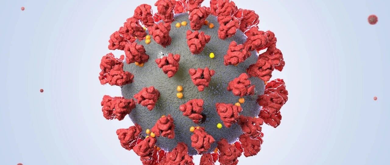 多款新冠疫苗临床数据出炉，T细胞免疫反应为何成为关注热点？