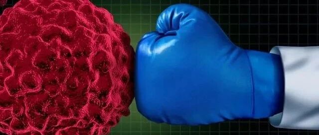 治疗非小细胞肺癌，KRAS抑制剂再获佳绩！