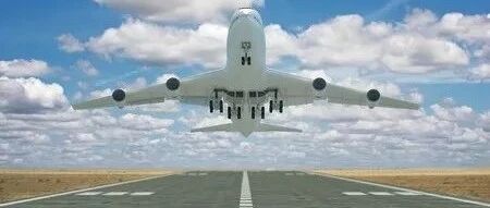 帮助她抗击“癌症之王”，这类“迷你”模型如何革新药物研发？