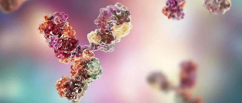 2024-08-17药事资讯