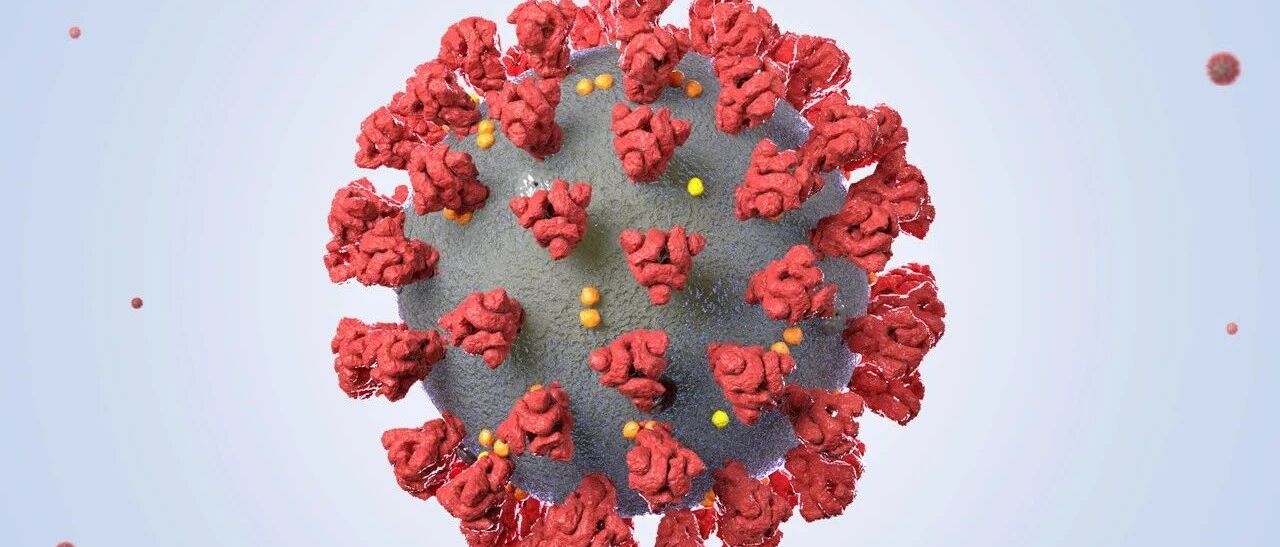 新冠康复患者体内中和抗体下降迅速，疫苗还能提供长久保护么？
