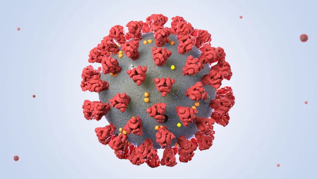 多款新冠疫苗臨床數據出爐，T細胞免疫反應為何成為關註熱點？ 健康 第1張