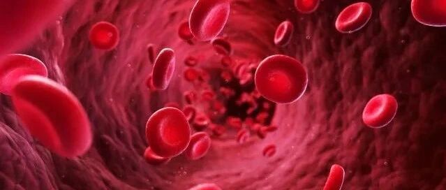 ASH | CAR-T疗法挺进一线，蛋白降解疗法、即用型细胞疗法等迎来新进展