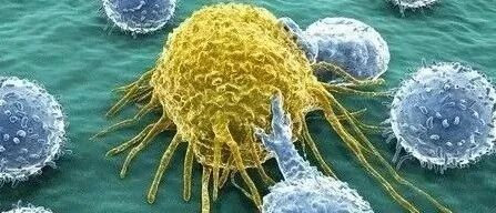 《自然》：揭示癌细胞逃避T细胞“追杀”的核心通路，CRISPR技术发现182个潜在免疫疗法靶点