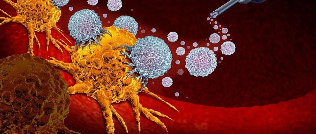 方兴未艾，属于细胞疗法的那一片蓝海