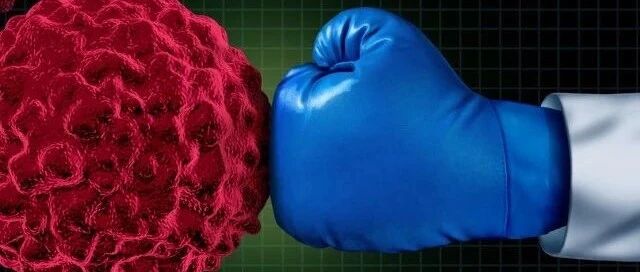 Nature深度综述：改进癌症免疫疗法，靶向DNA损伤反应大有可为