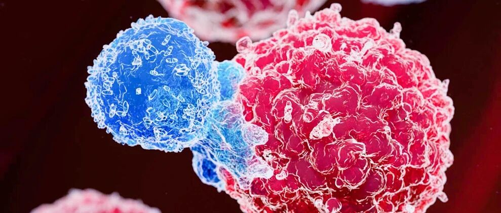 蛋白降解、CAR-X、基因疗法……引领未来的新潮流 | 年度盘点