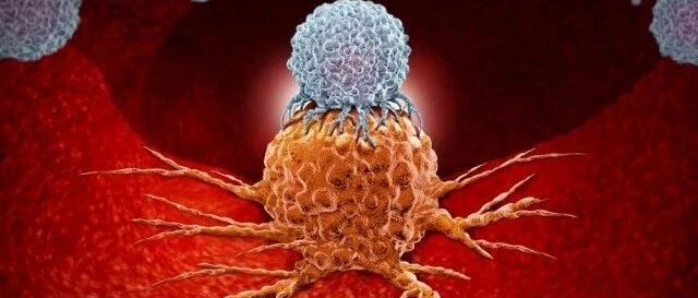 从NK细胞疗法最新临床结果，看即用型细胞疗法的未来…