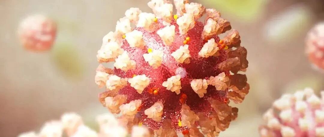 《细胞》：太狡猾！冠状病毒竟会“劫持”细胞消灭病毒的工具，促进自身的传播