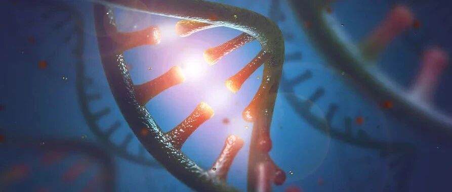 AAV基因疗法安全性受到广泛关注，业界专家们怎么说？