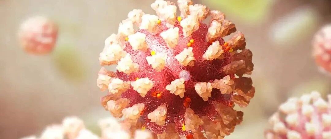 历史上让疫苗失效的突变，都带来了什么？