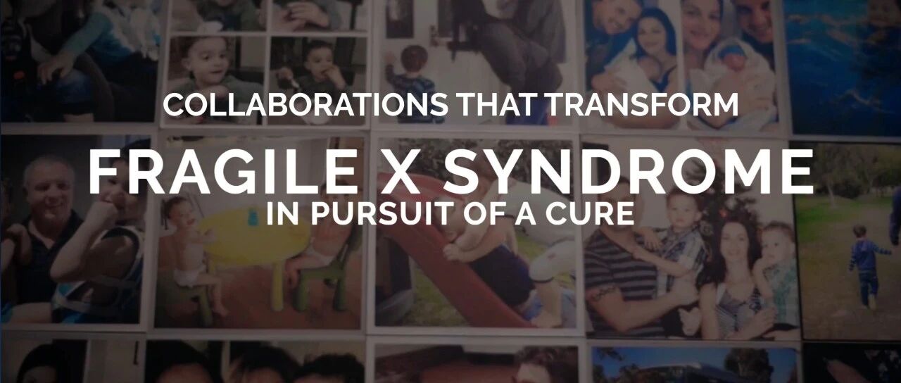 一种无药可治的怪病，以及一场寻求治愈的冒险