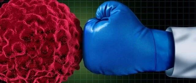 联合PD-1/PD-L1疗法，哪些靶点受到关注？