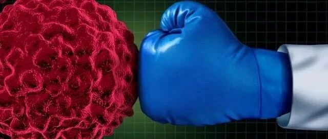 CDK4/6：老靶点的新洞见