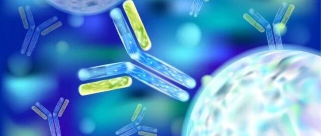 第三款双特异性抗体获FDA批准，双抗领域爆发在即？