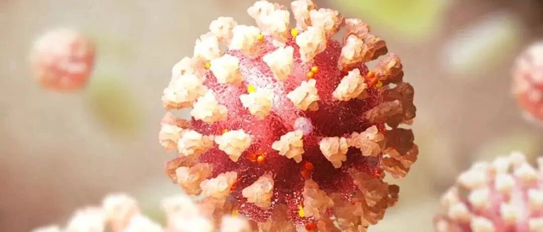 一次接种激发抗体和细胞免疫反应，强生公布新冠疫苗1/2a期临床结果