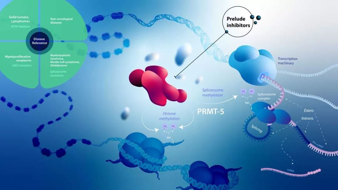 2019「生物技術猛公司」榜單火熱出爐，它們帶來了哪些突破？ 健康 第21張