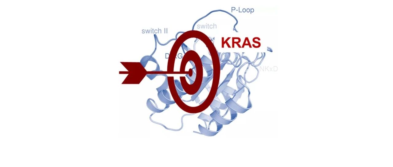 KRAS抑制剂最新数据：非小细胞肺癌患者疾病控制率达96%（附PPT）