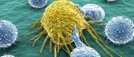 突破性疗法认定+公布最新数据！杨森两大BCMA疗法同日迎来进展