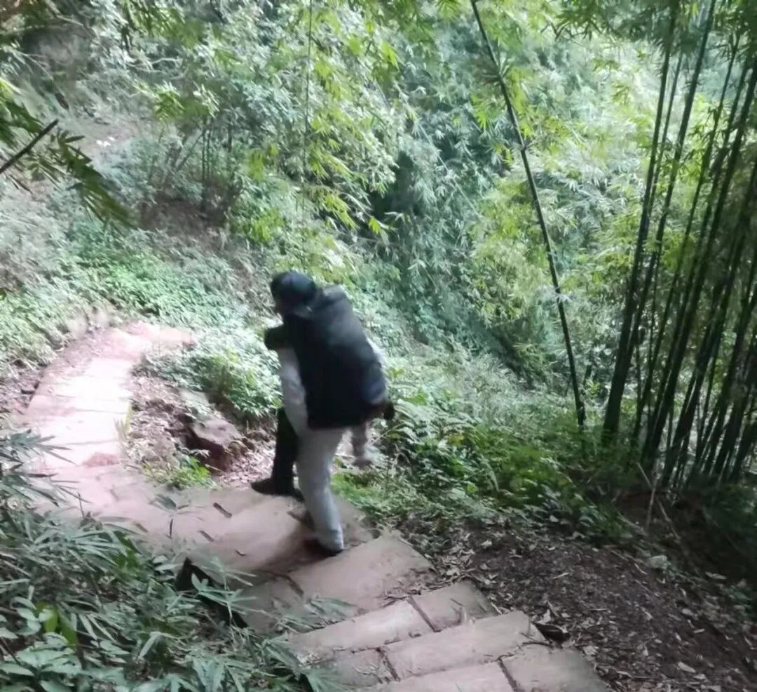 担架救人怎么使用“救人要紧，用不了担架，我来背！”_https://www.jmylbn.com_新闻资讯_第6张