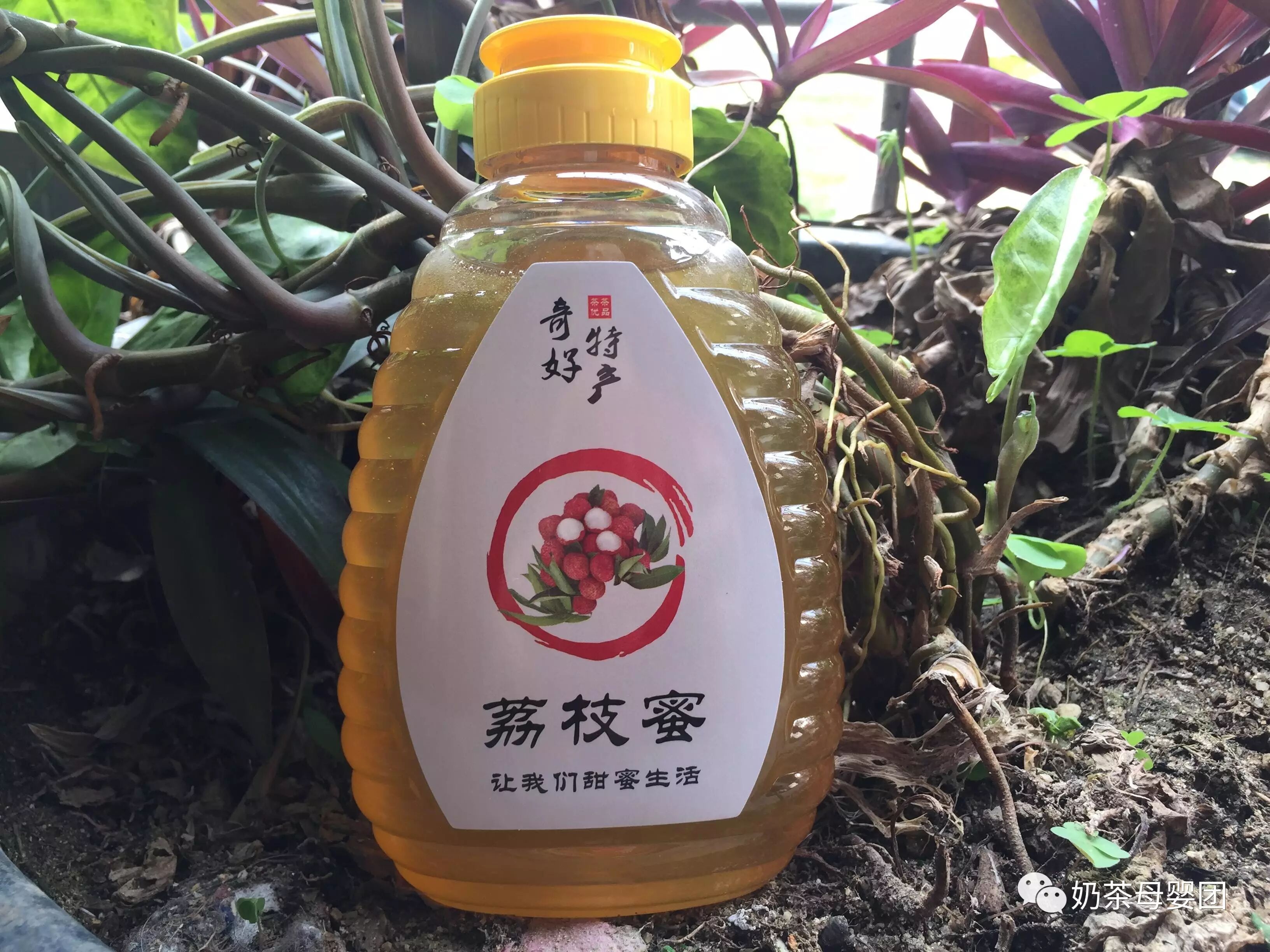 25-10.2】下午3点,高州农家自产龙眼蜜,荔枝蜜