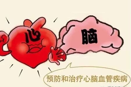 預防心腦血管疾病，採訪專家這樣建議！ 健康 第3張