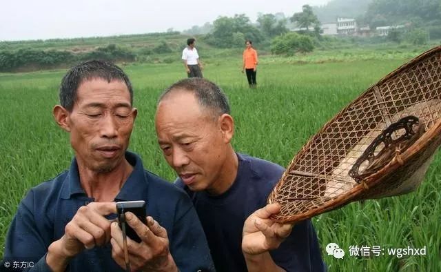農民拿淘汰的手機換盆，值嗎？結果會怎樣，農村有人已被騙！ 科技 第2張