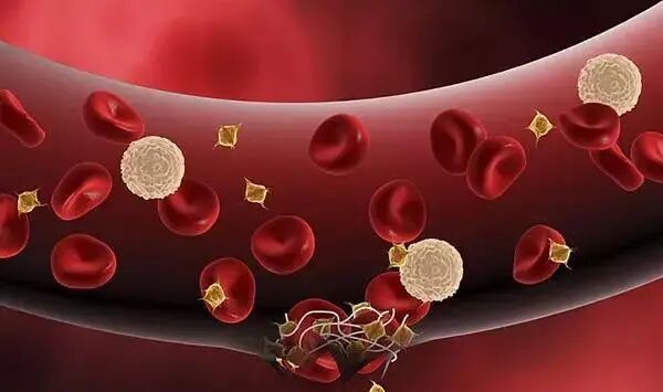 采血管颜色代表什么【特色科普】 不同颜色采血管的奥秘_https://www.jmylbn.com_新闻资讯_第9张