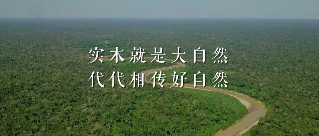 张继科、田亮频助阵，大自然地板成为国人的“芳心纵火犯”