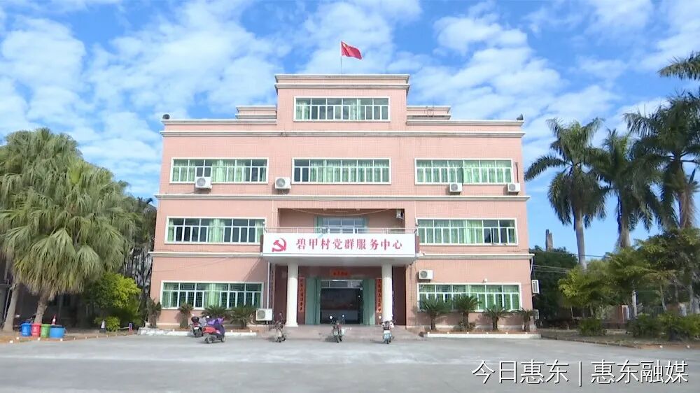 平海镇碧甲村党总支部:迎"疫"而上 彰显党员担当-惠东县人民政府门户
