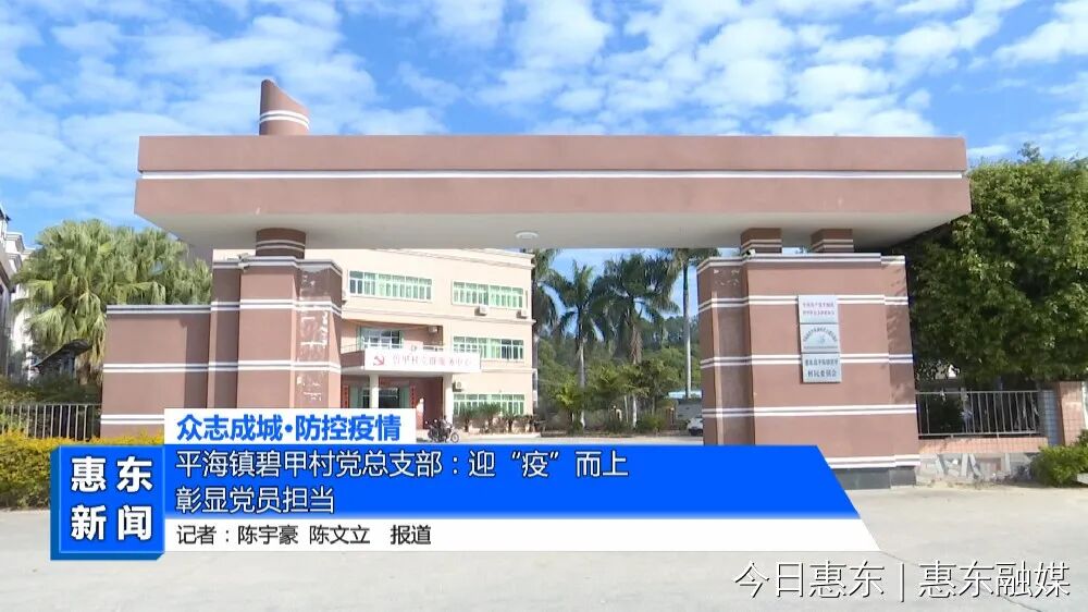 平海镇碧甲村党总支部:迎"疫"而上 彰显党员担当-惠东县人民政府门户