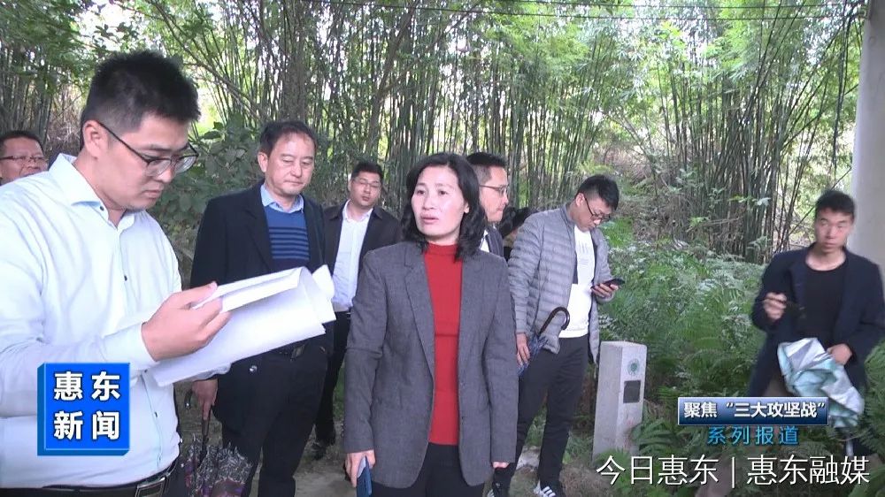 县领导带队到大岭街道万松河开展巡查工作-惠东县人民政府门户网站