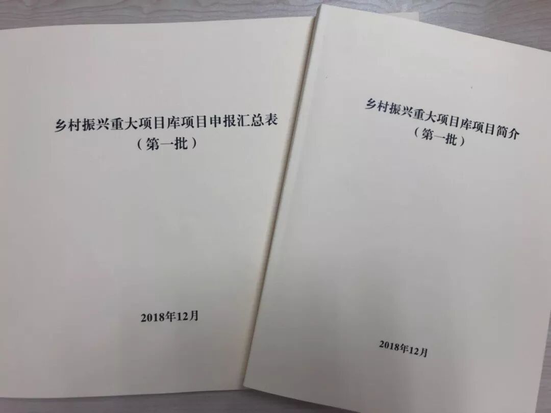 国家重大项目建设库 山东省分行与省发改委共同建立乡村振兴重大项目库