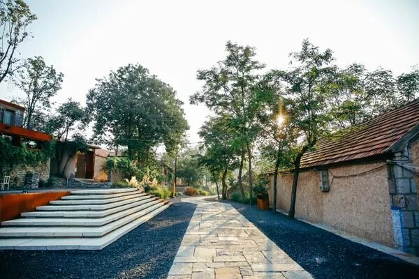 国家重大项目建设库_国家重大建设项目库有什么用_重大项目库管理办法