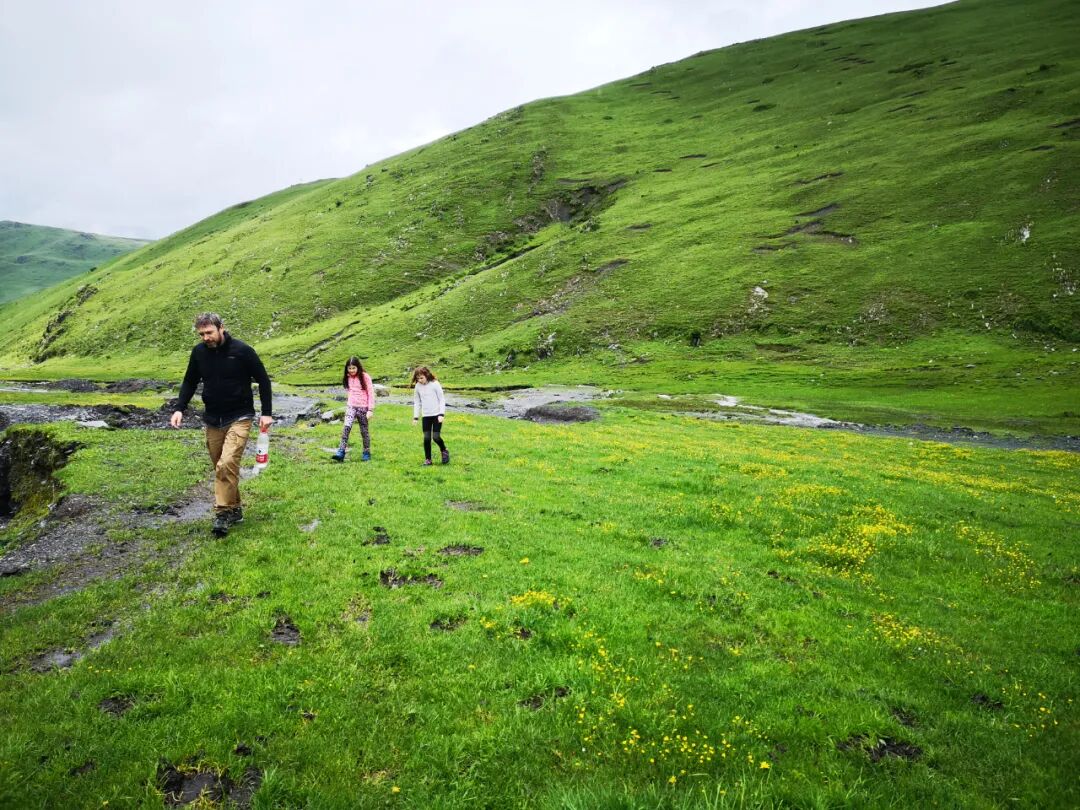春日，雪山环绕的塔公草原游牧之旅