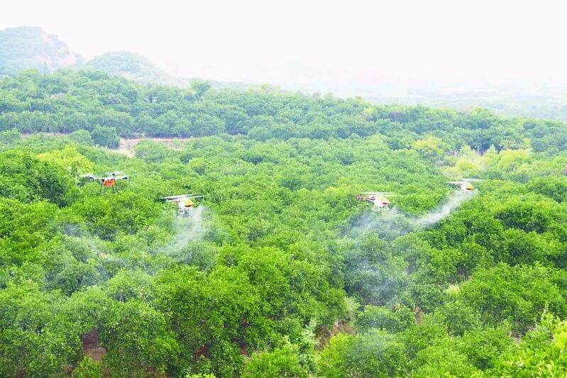 宁波慈溪范市看胃病_慈溪范市房屋出租_慈溪属于哪个市