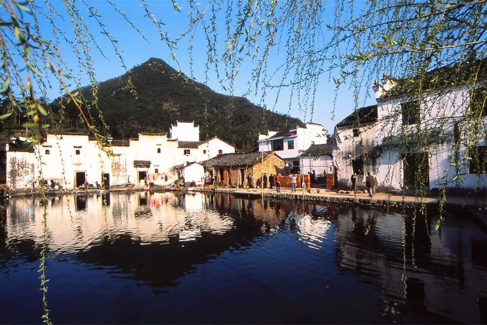 慈溪范市房屋出租_宁波慈溪范市看胃病_慈溪属于哪个市