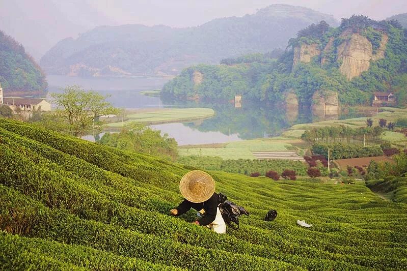 慈溪范市房屋出租_宁波慈溪范市看胃病_慈溪属于哪个市