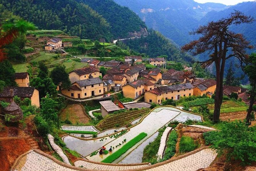 宁波慈溪范市看胃病_慈溪范市房屋出租_慈溪属于哪个市