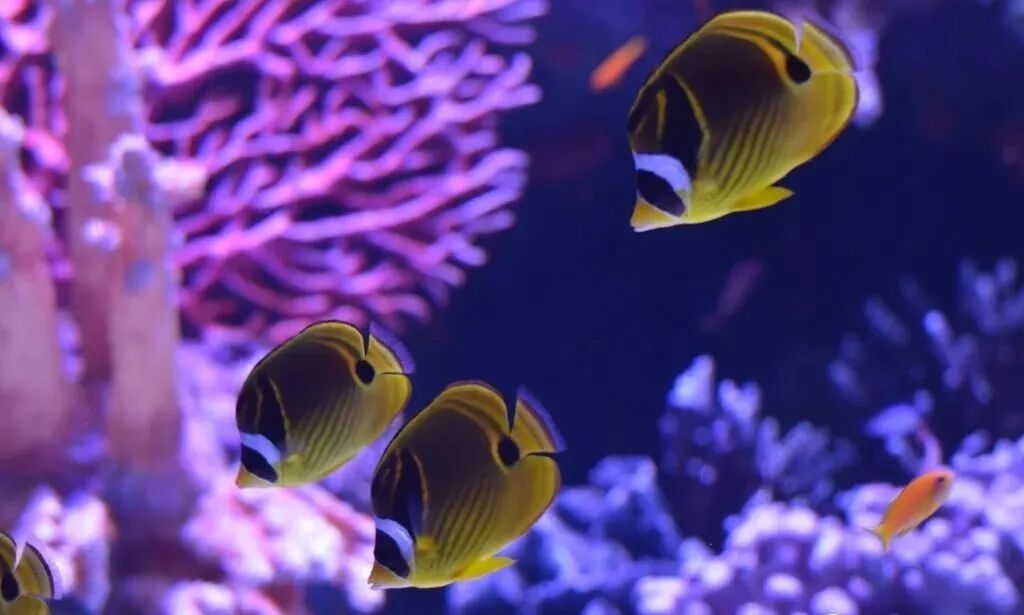 年轻的人好的创业项目_针对年轻人的创业项目_致富商机好项目创业商机好项目