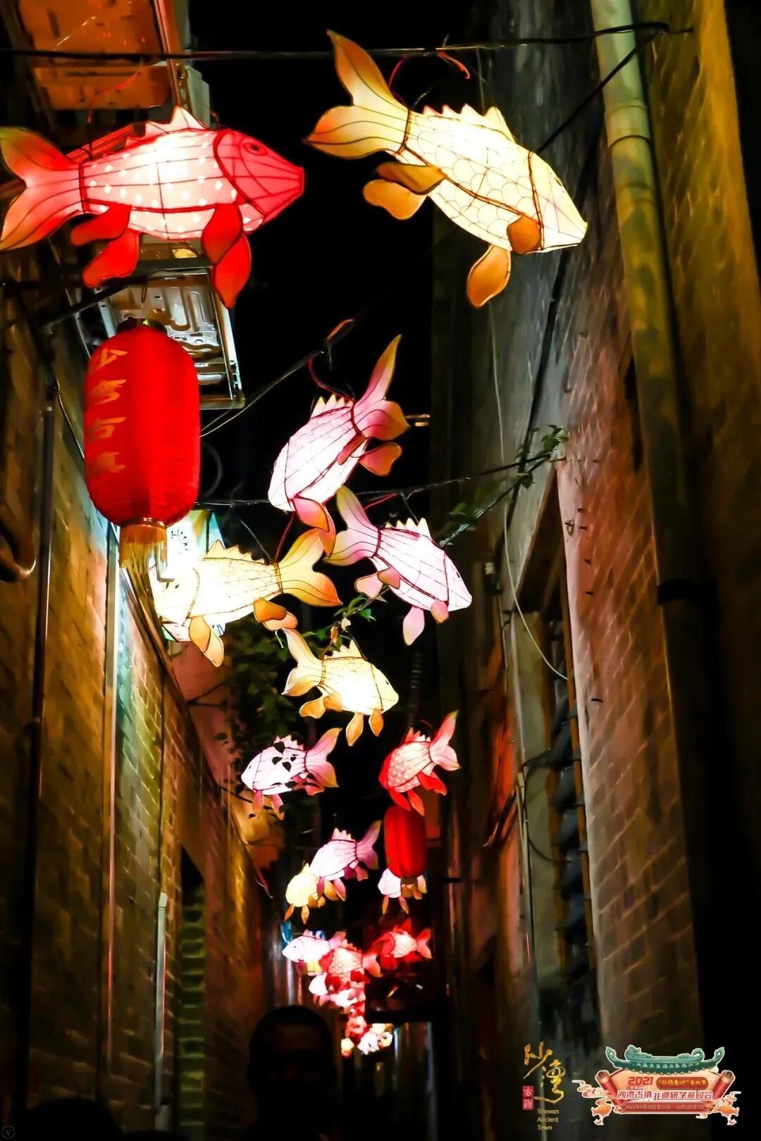 ͼƬ