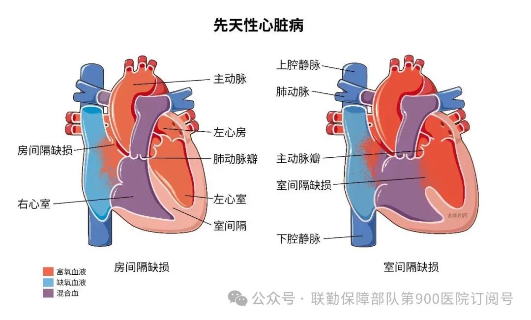 新生儿先心病筛查平台登录入口