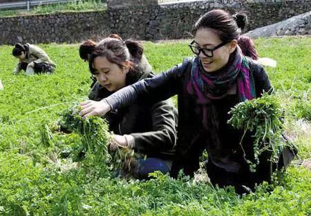 小区创业项目_小区开店创业项目_千元创业项目 创业网