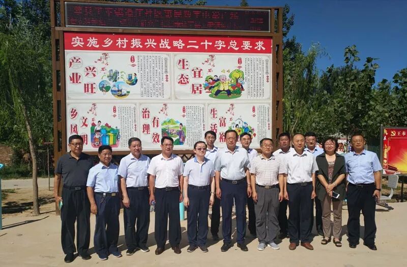 【帮第一书记支招】莘县:棚里香瓜西红柿,地里山药和大蒜,脱贫攻坚一